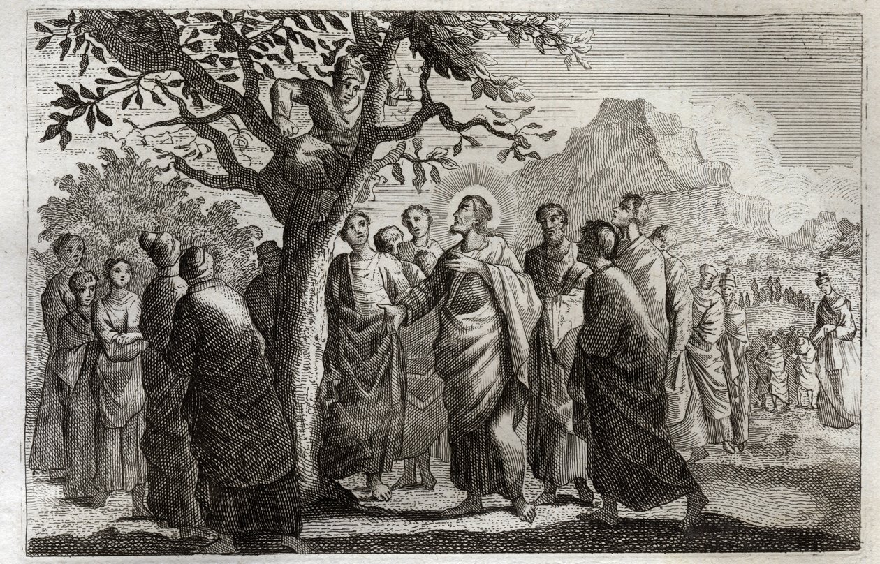 Biblia Royaumonta, Nowy Testament: Nawrócenie Zachee. Jezus Chrystus rozmawiający z Zachee okonia na jaworze. Ilustracja z 1811 roku. autorstwa Unknown artist