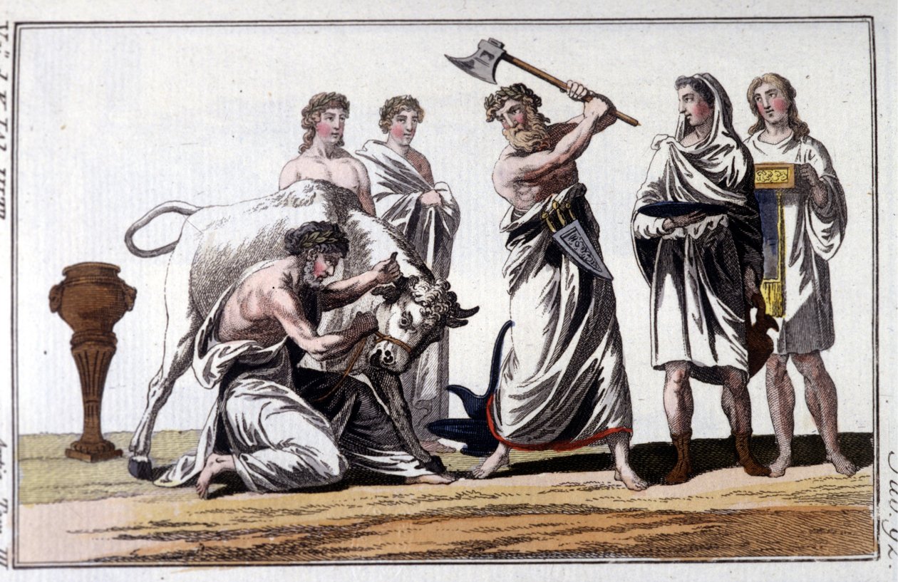 Ofiara byka wśród Celtów. Grawerowanie z XIX wieku. autorstwa Unknown artist