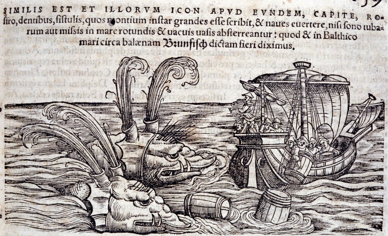 Żeglarze rzucają beczki do morza, aby odwrócić uwagę pościgowych potworów. Grawerowanie w „Historia Animalium” Conrada Gesnera (1516-1565), Tiguri autorstwa Unknown artist