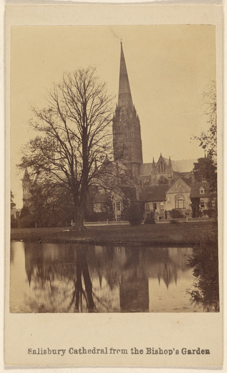 Katedra w Salisbury z Ogrodu Biskupiego autorstwa Unknown artist