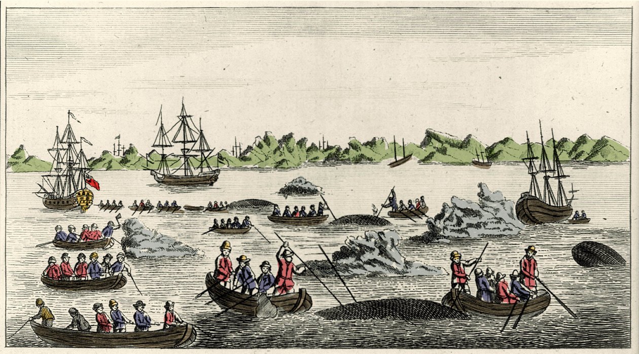 Scena łowienia wielorybów na Grenlandii w XVIII wieku, popularny druk anonimowy z tego okresu autorstwa Unknown artist