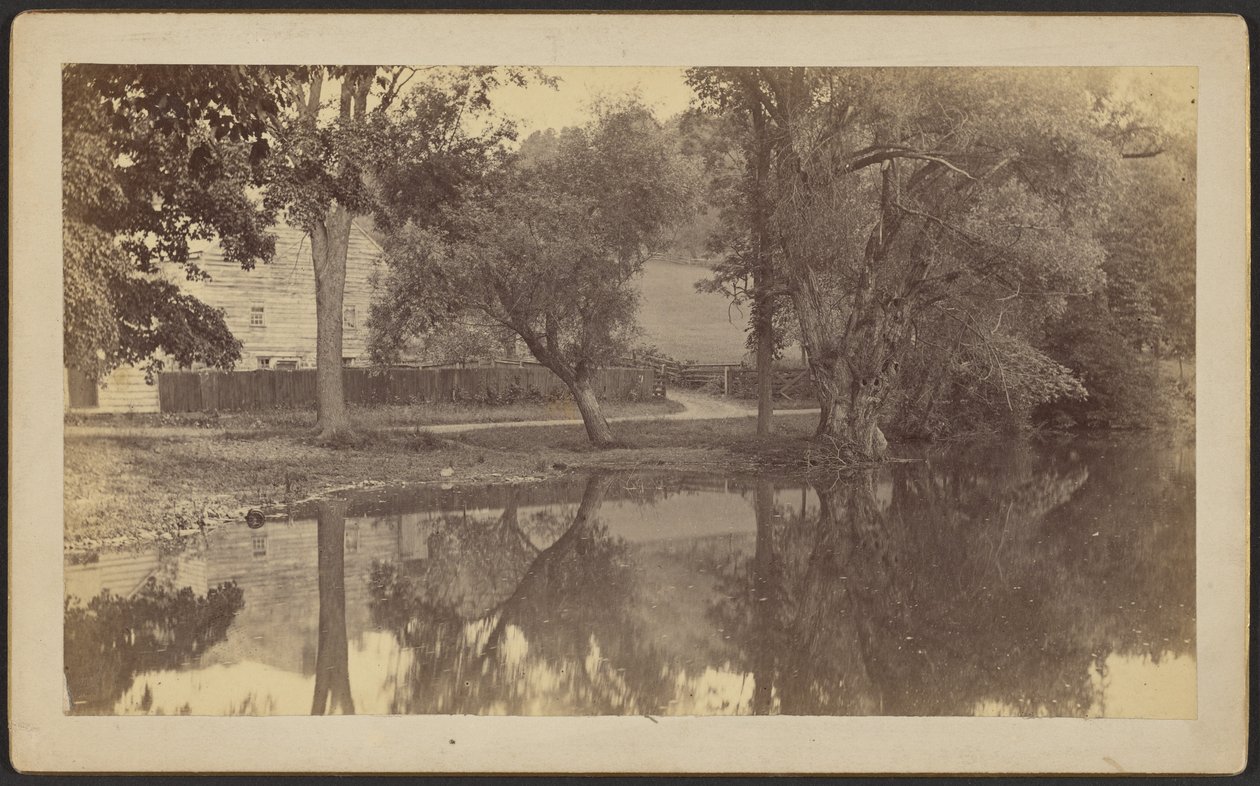 [Silverspring Pond] autorstwa Unknown artist