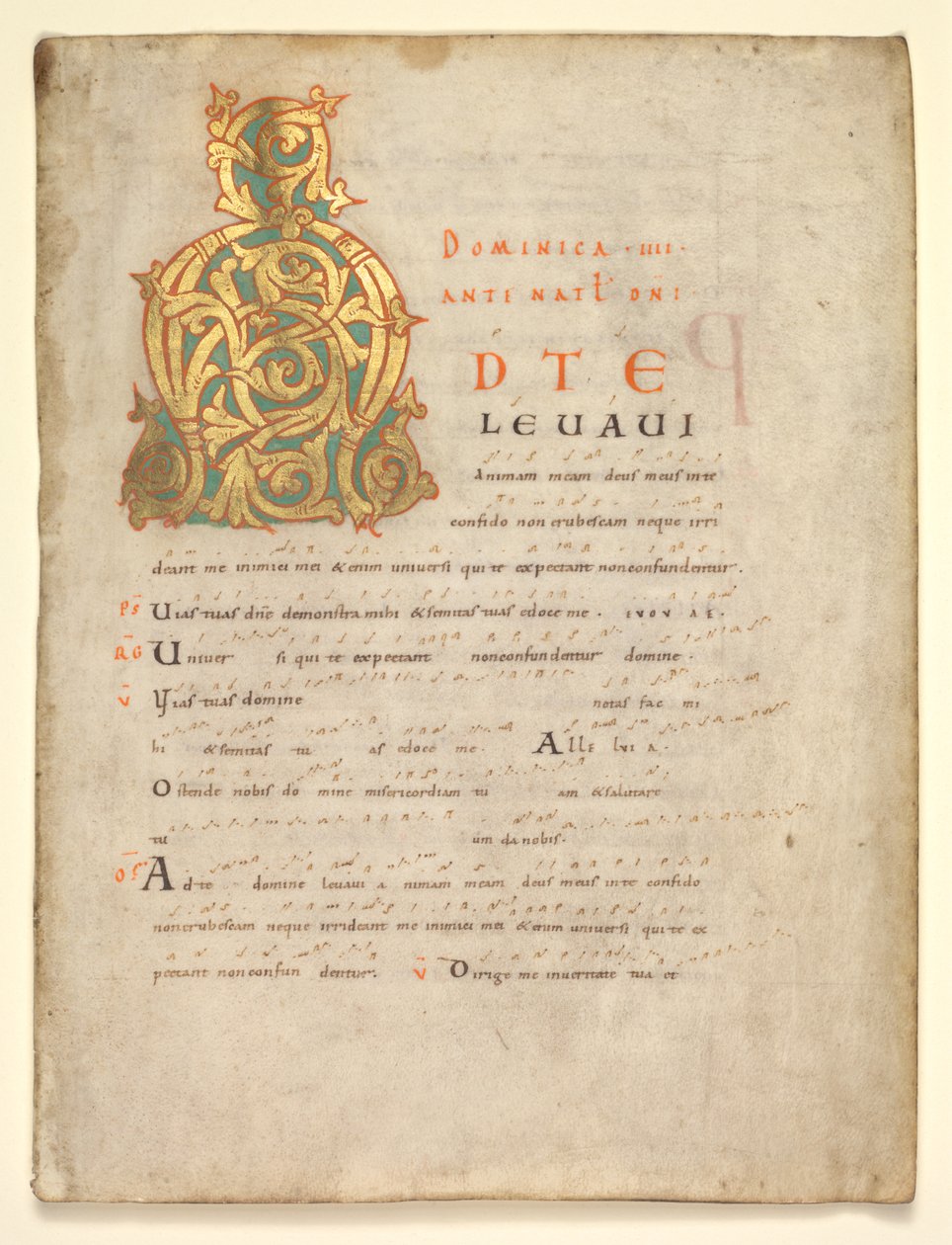 Pojedynczy liść wycięty z graduału i sakramentarza: inicjał A[d te lavavi] autorstwa Unknown artist