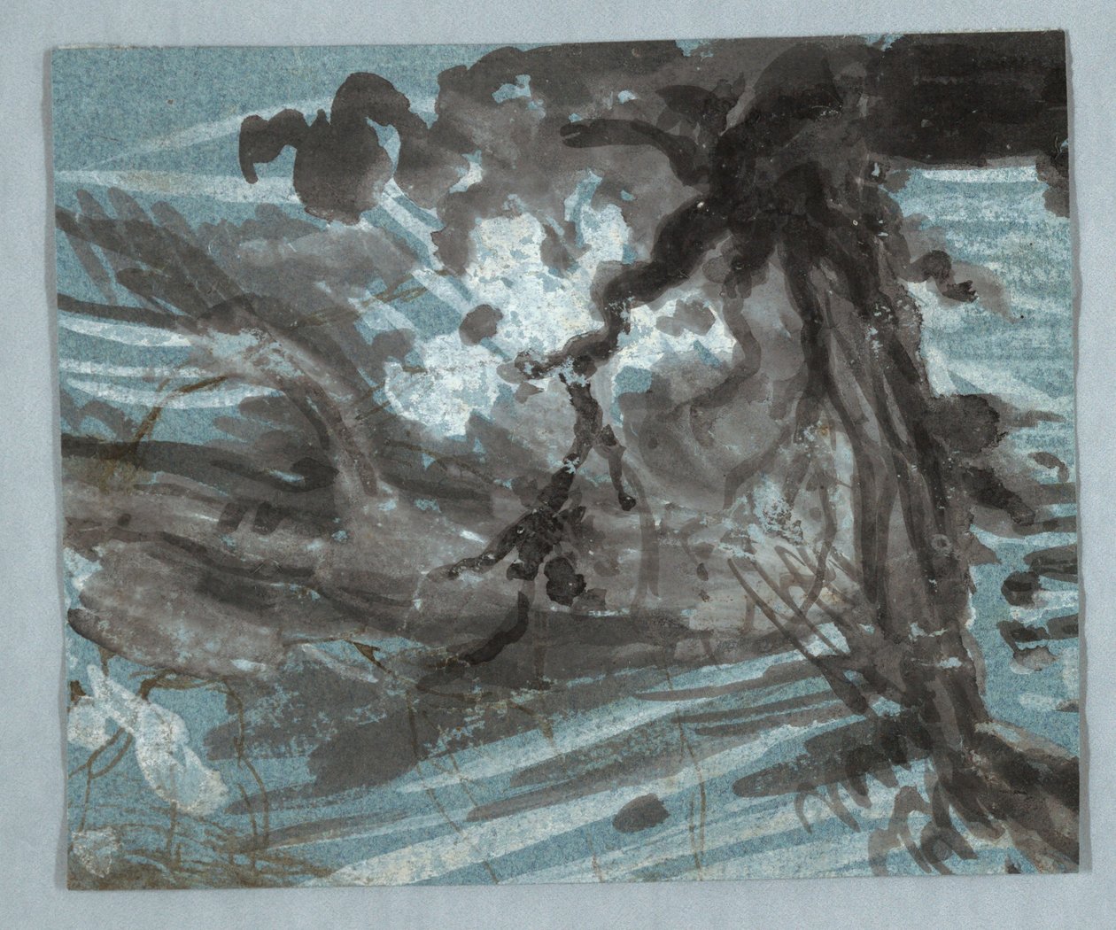 Szkic drzewa autorstwa Unknown artist