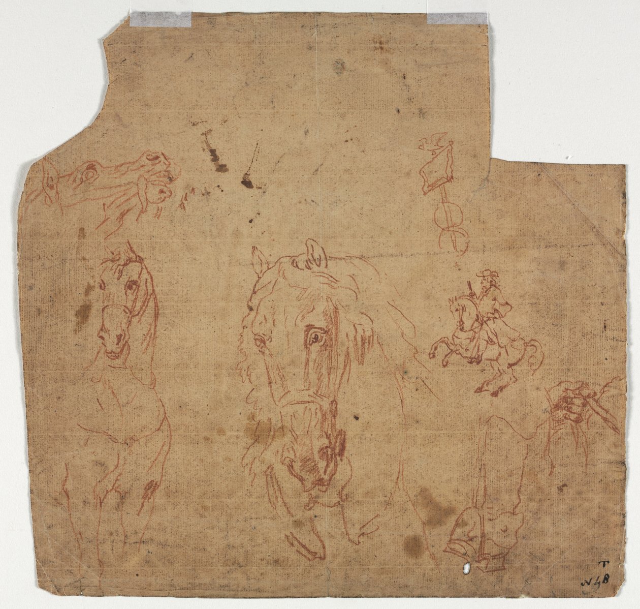 Szkice koni i jeźdźców (recto) autorstwa Unknown artist