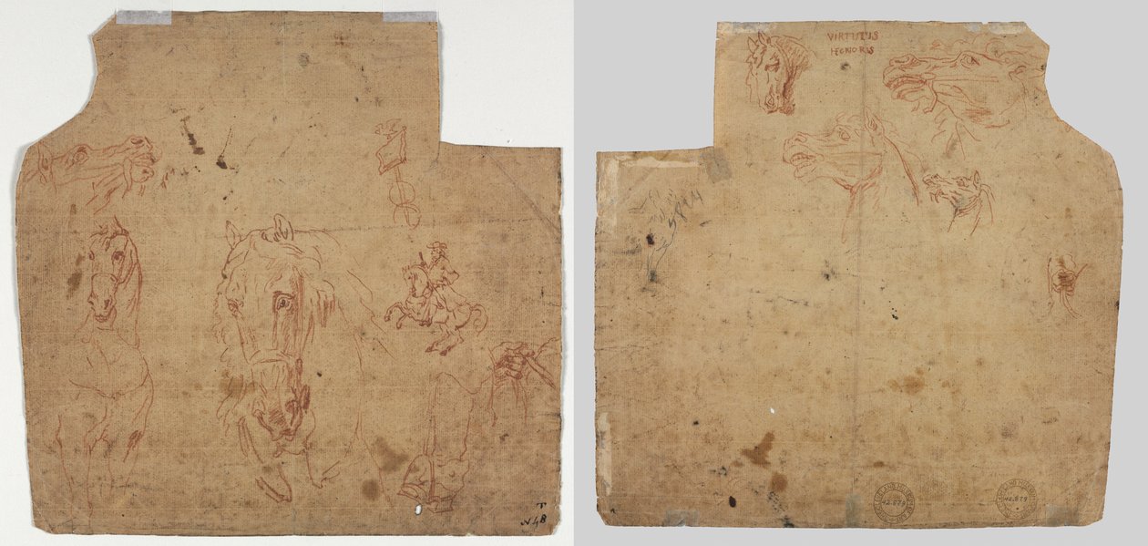 Szkice koni i jeźdźców (recto); Szkice koni (verso) autorstwa Unknown artist