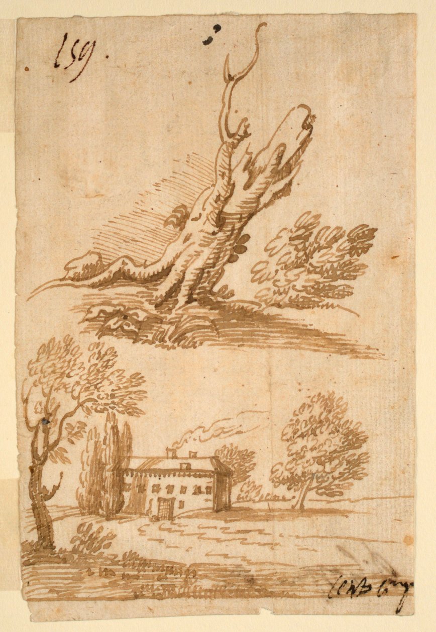 Szkice willi i drzewa autorstwa Unknown artist