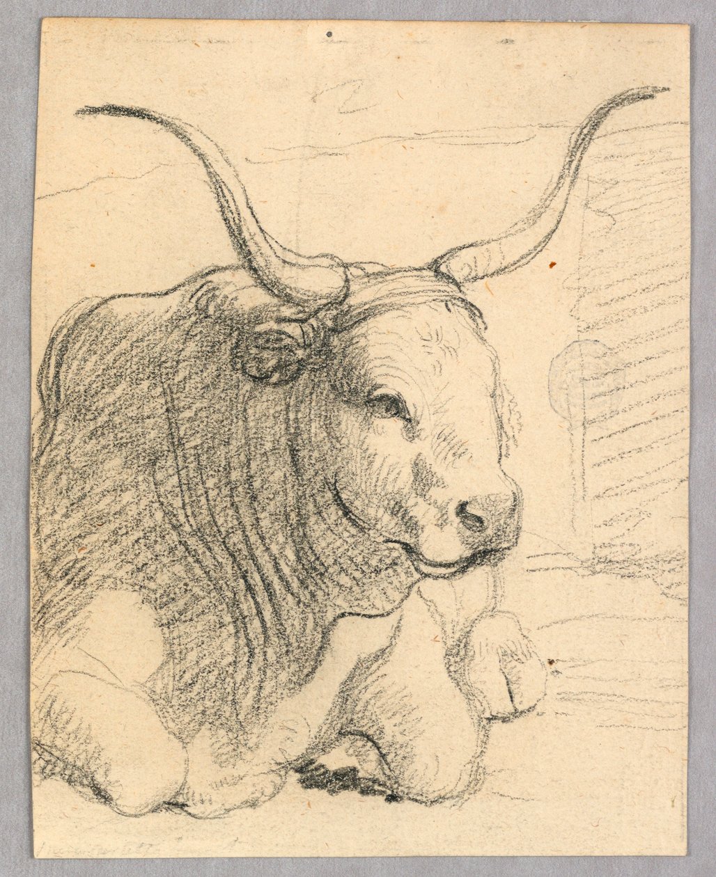 Badanie: krowa leżąca autorstwa Unknown artist