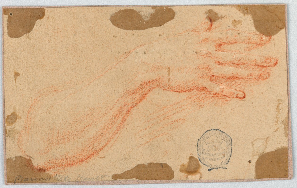 Studium prawego przedramienia i dłoni kobiety autorstwa Unknown artist