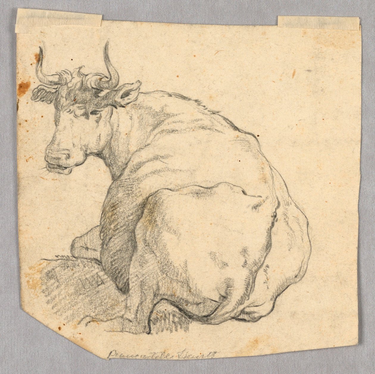 Badanie krowy autorstwa Unknown artist