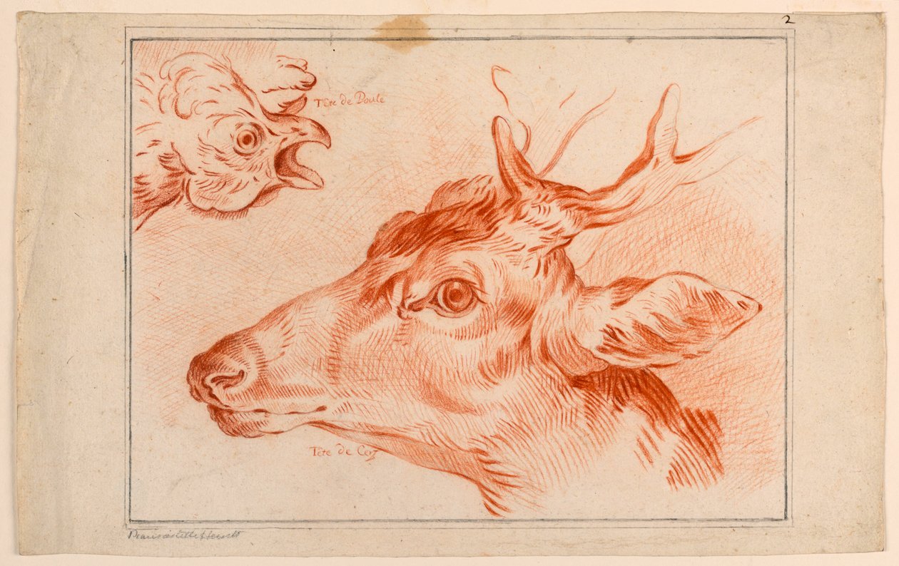 Studium głów kurczaka i jelenia autorstwa Unknown artist