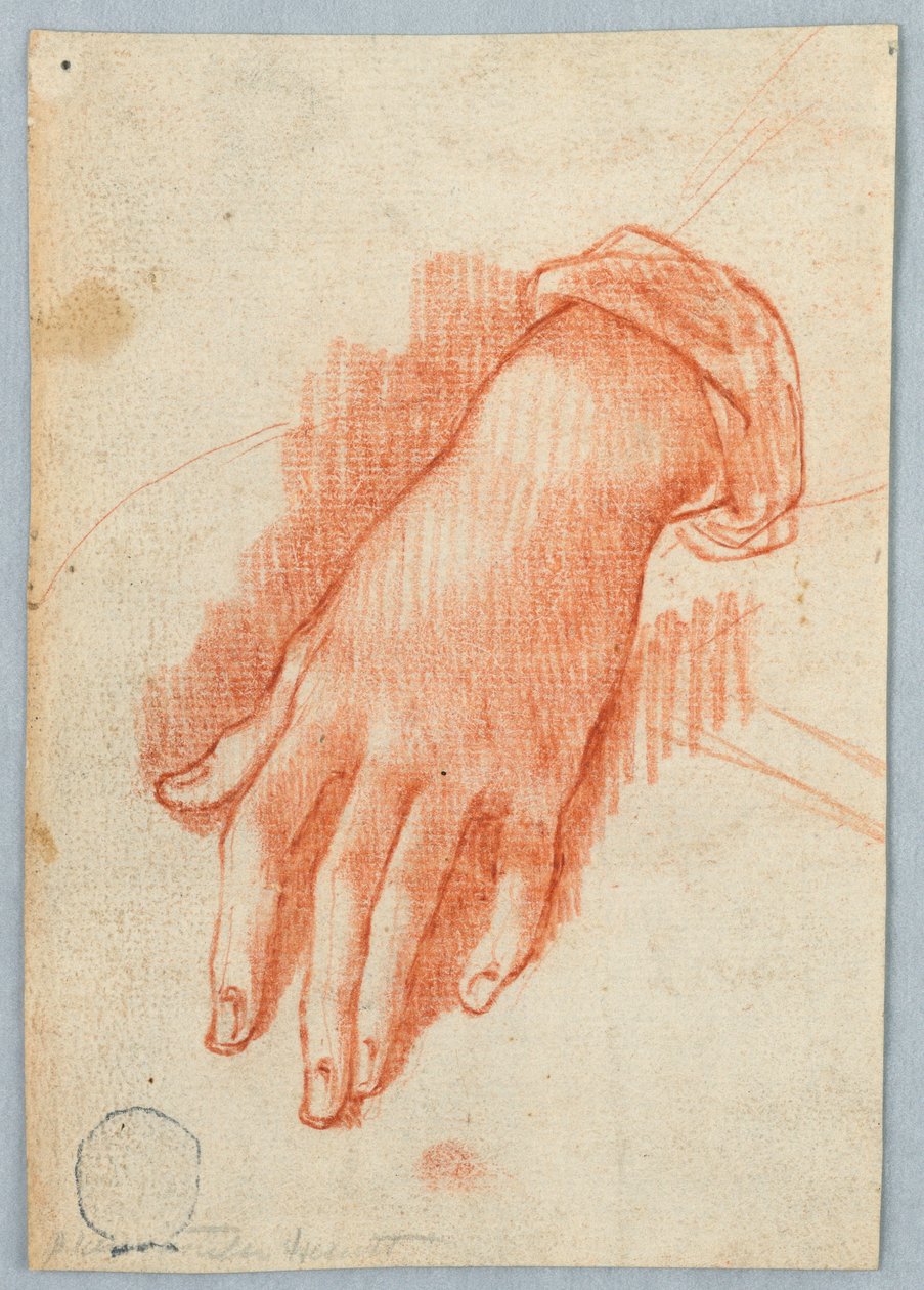 Studium lewej ręki kobiety autorstwa Unknown artist