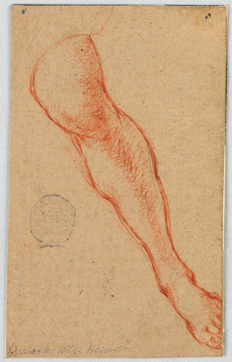 Badanie lewej nogi siedzącej kobiety autorstwa Unknown artist