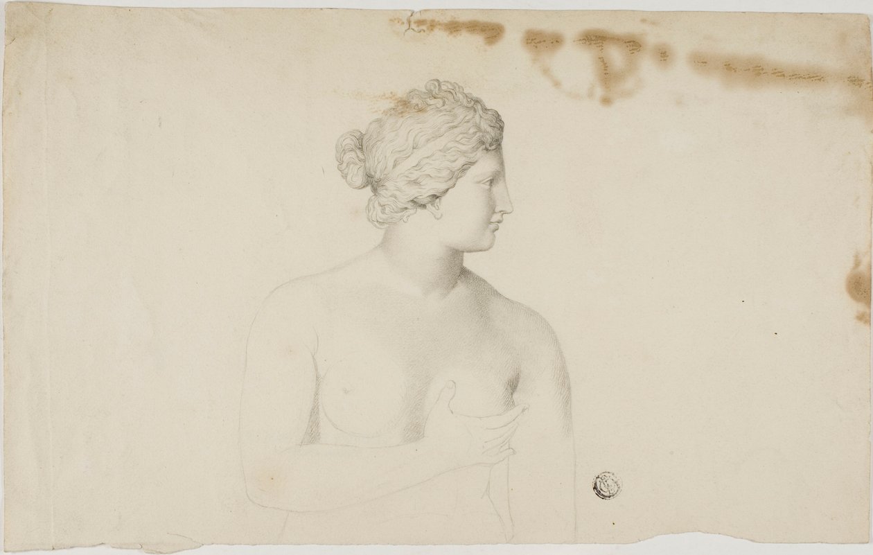 Studium Medycejskiej Wenus autorstwa Unknown artist