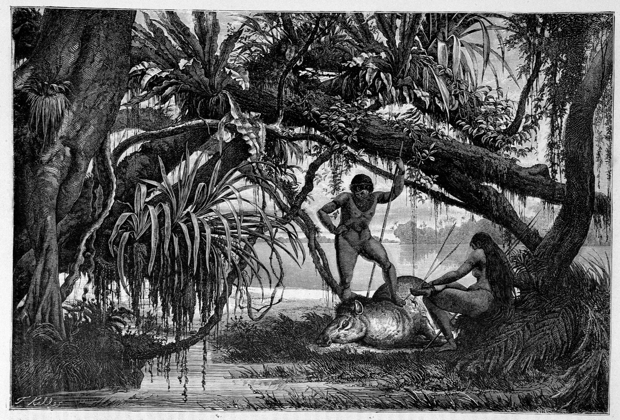 Tapir zabity przez Indian z Brazylii - w „”Dookoła świata”” 2 semestr 1874. autorstwa Unknown artist
