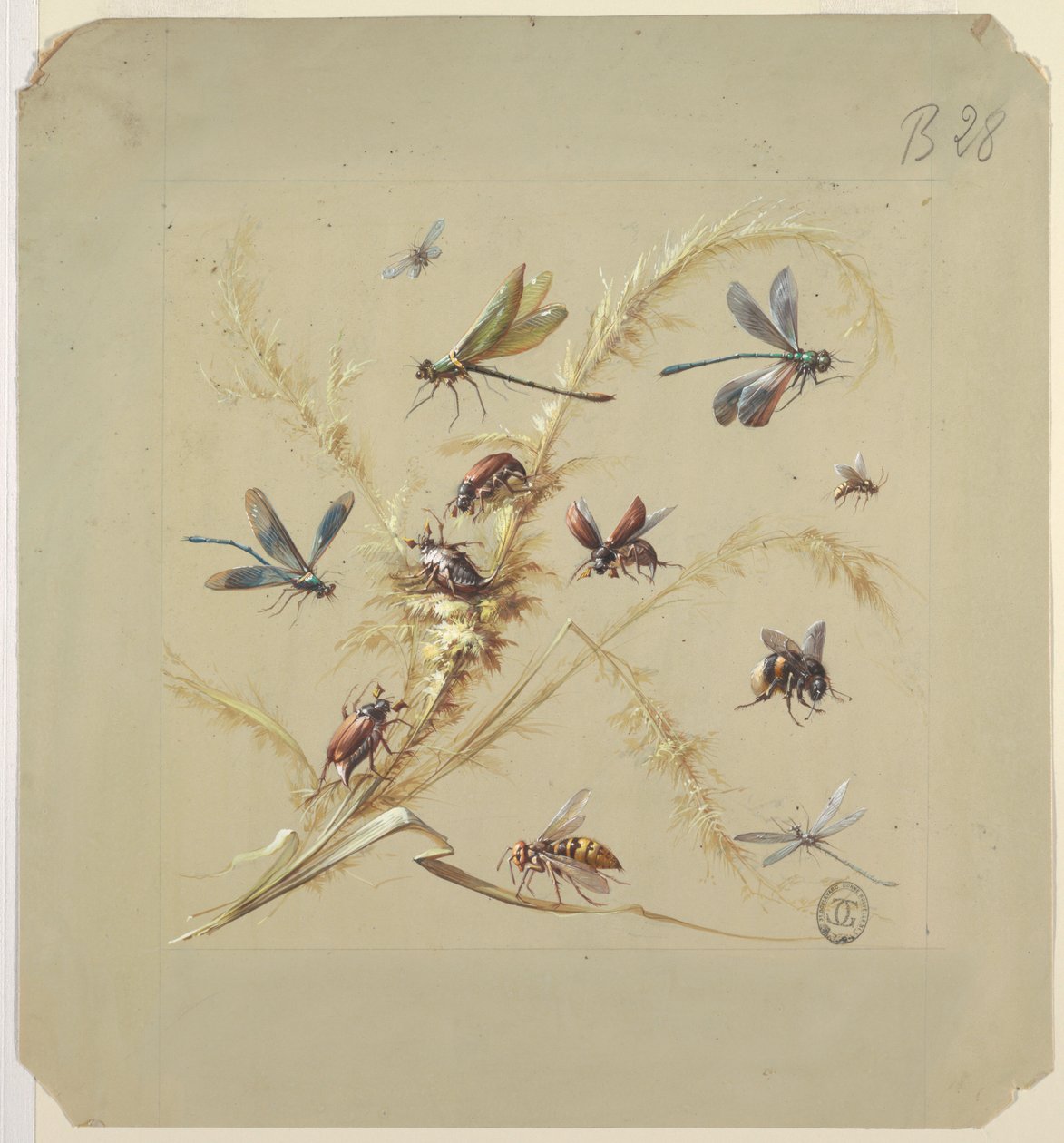 Projektowanie tkanin lub tapet: Owady autorstwa Unknown artist