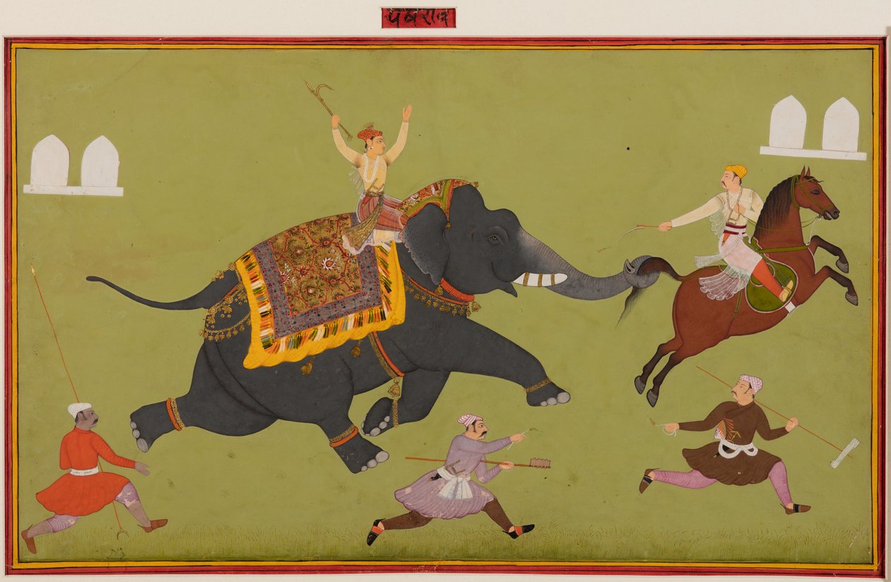 Słoń z Maharany Jai Singh z Mewar (1680–98) łapie konia za ogon autorstwa Unknown artist