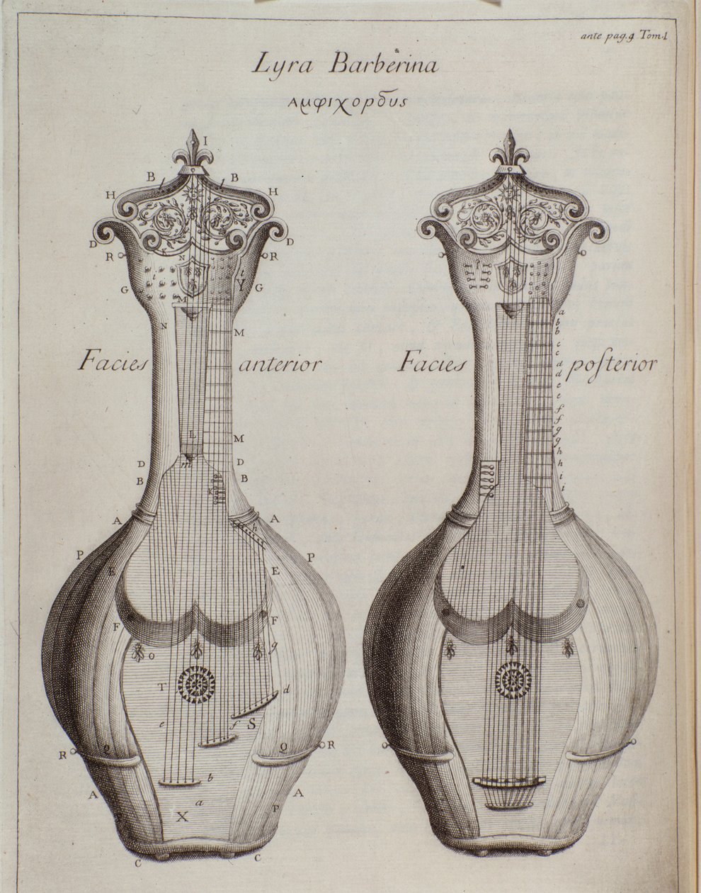 Lyra Barberina (Grawerowanie autorstwa Unknown artist