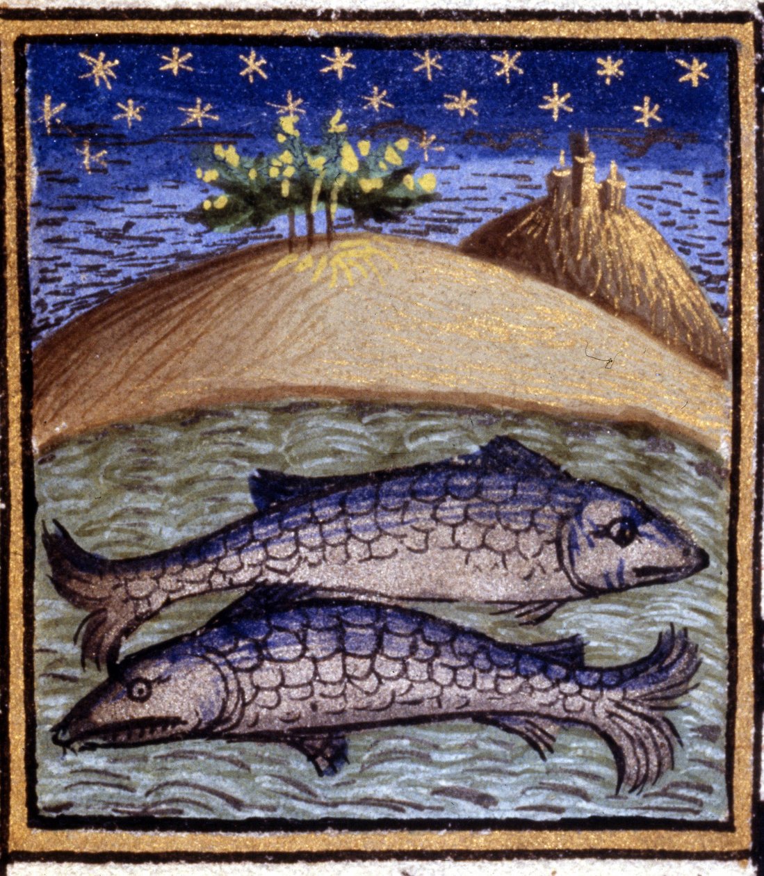 Ryby. Miniatura horoskopu. Rękopis z XV wieku. Biblia Trivulziana, Mediolan. autorstwa Unknown artist