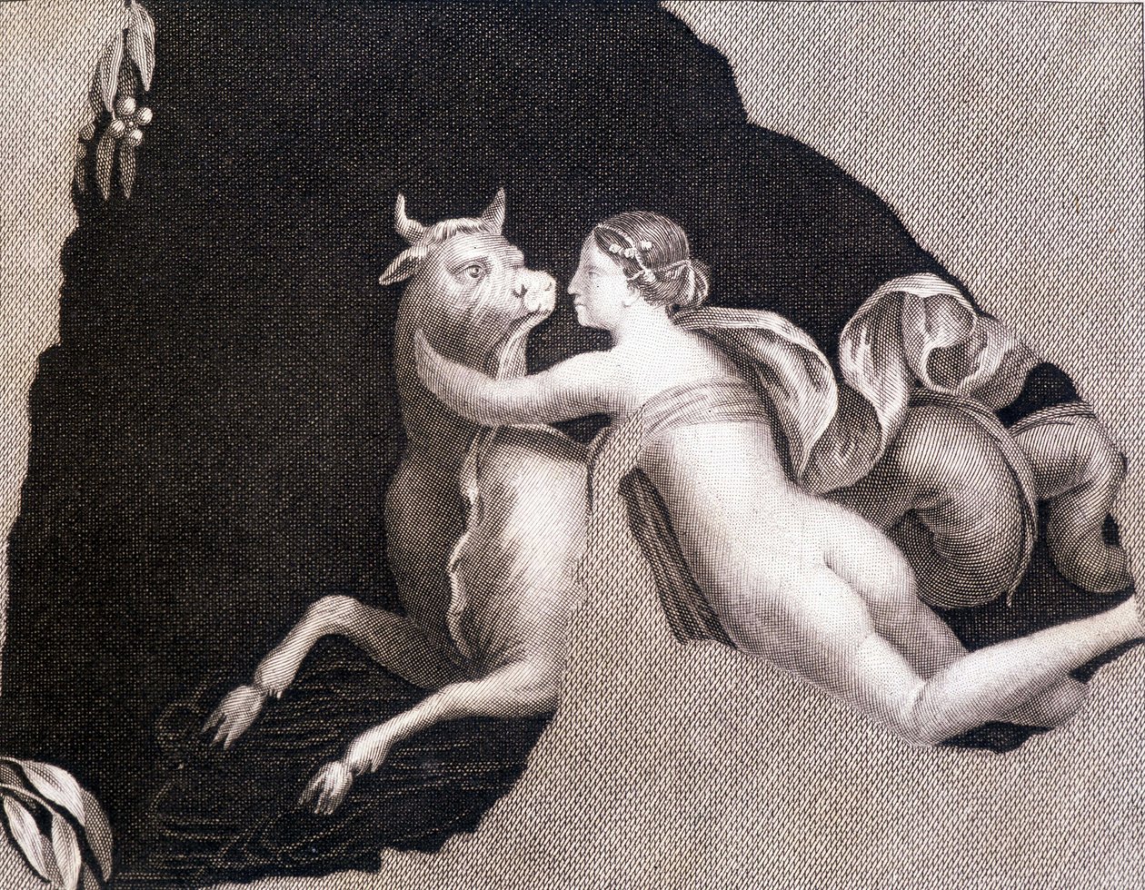 Porwanie Europy - grawerowanie autorstwa Unknown artist
