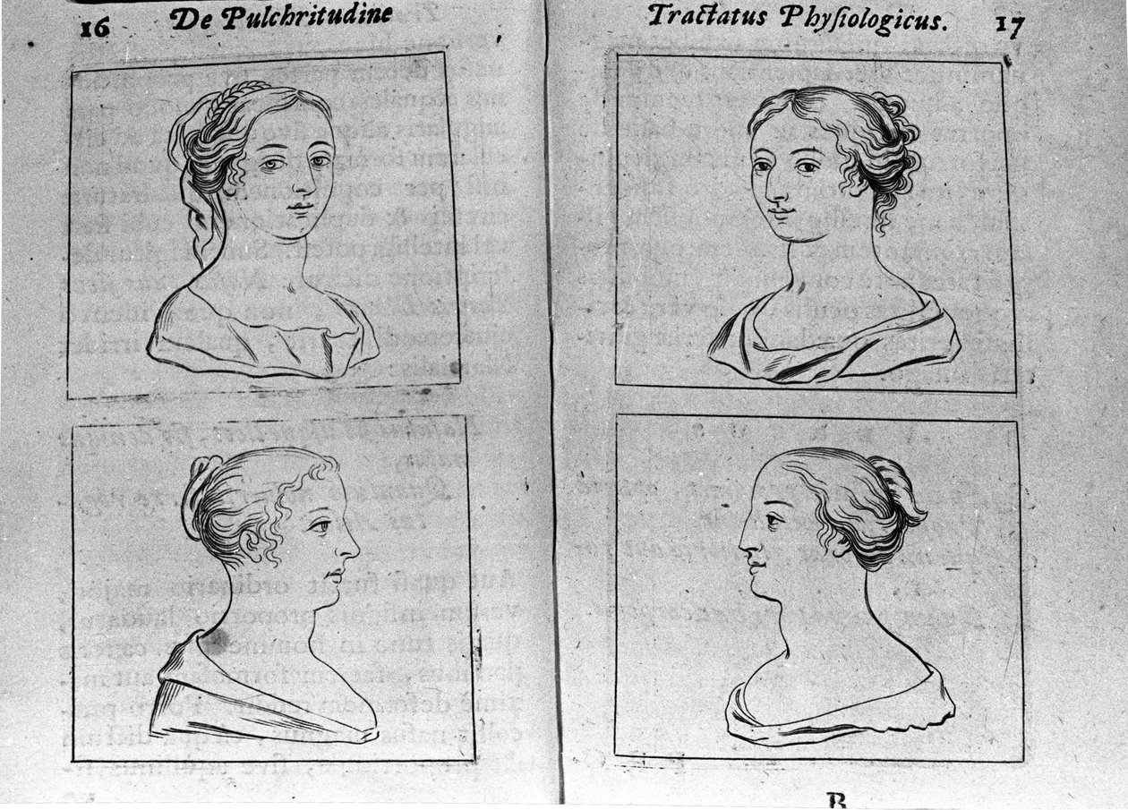 Różne kobiece sylwetki Strona zaczerpnięta z „Tractatus physiologicus de beautye” opowiada o Ernesto Venio (Ernestus Vaenius) broniącym piękna stworzenia przed anonimowym przeciwnikiem. 1612 autorstwa Unknown artist
