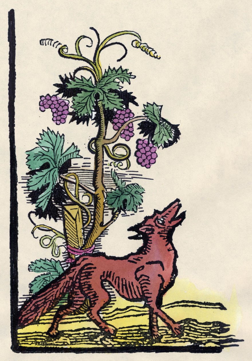 Lis i winogrona. Bajka o Asope (XVIII w. grawerowanie) autorstwa Unknown artist