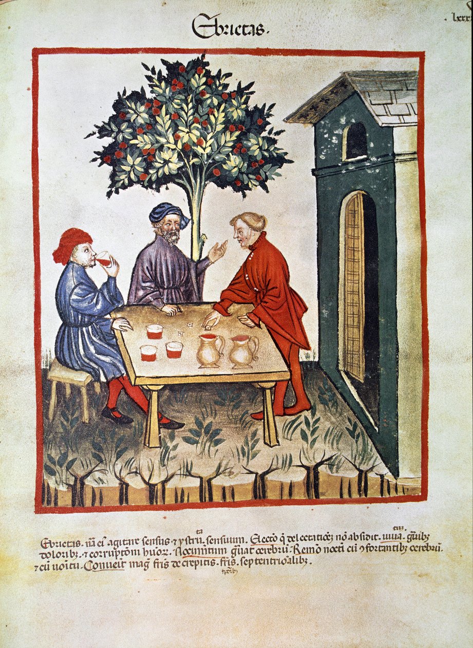 Leczenie: ""pijaństwo"" Strona zaczerpnięta z ""Tacuinum sanitatis"" (Cod. ser. nov. 2644) Około 1400 Wiedeń, Austriacka Biblioteka Narodowa autorstwa Unknown artist