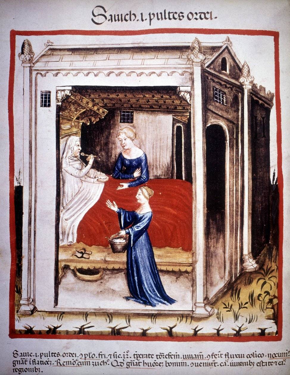 Traktat lekarski „”Tacuinum sanitatis””” XIV wiek: pacjent w asyście pielęgniarek. BN, Wiedeń. autorstwa Unknown artist