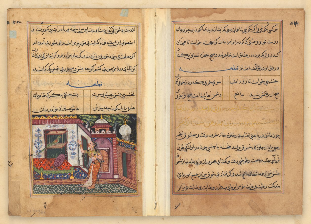 Tuti-Nama (Opowieści papugi) autorstwa Unknown artist