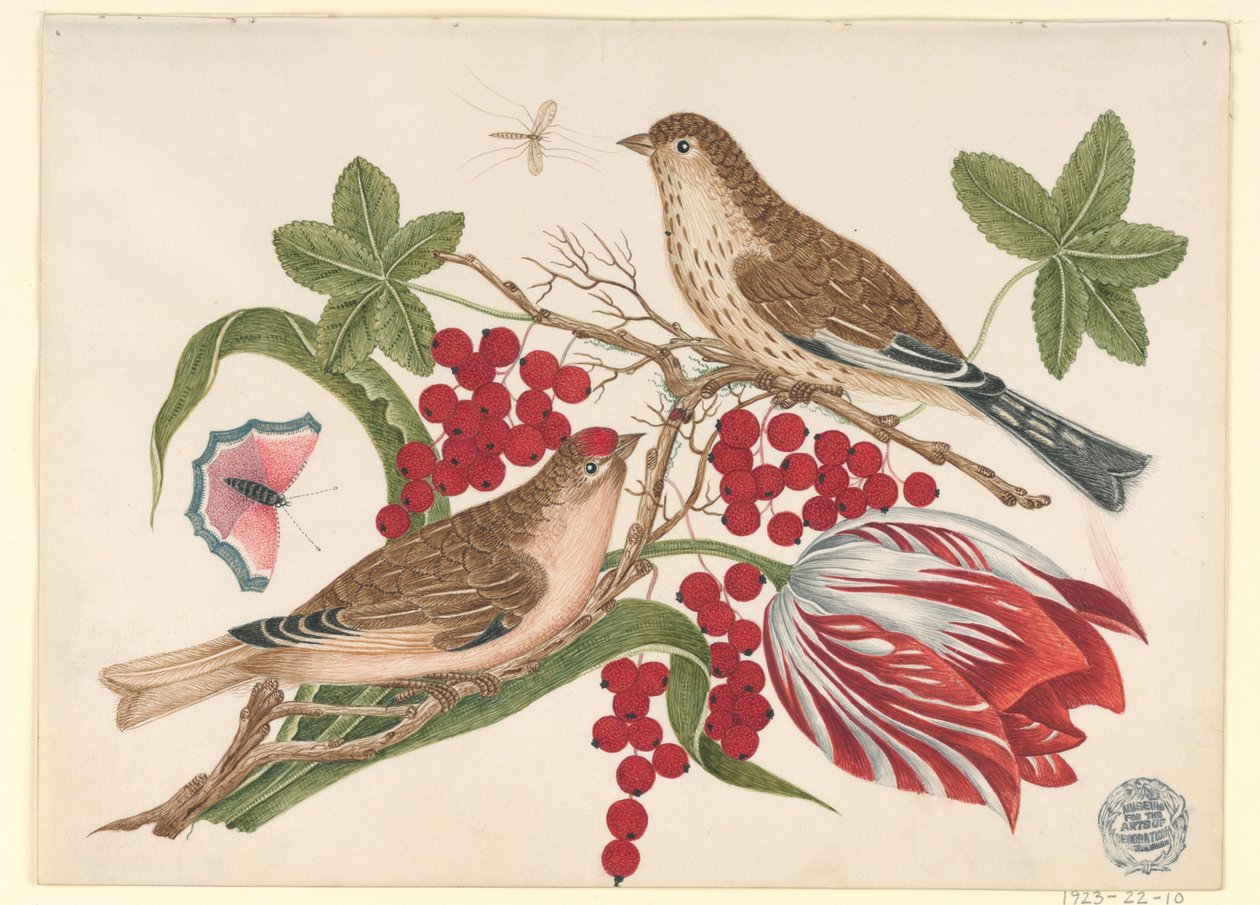 Dwa brązowe ptaki na gałęzi z tulipanem, jagodami i owadami autorstwa Unknown artist