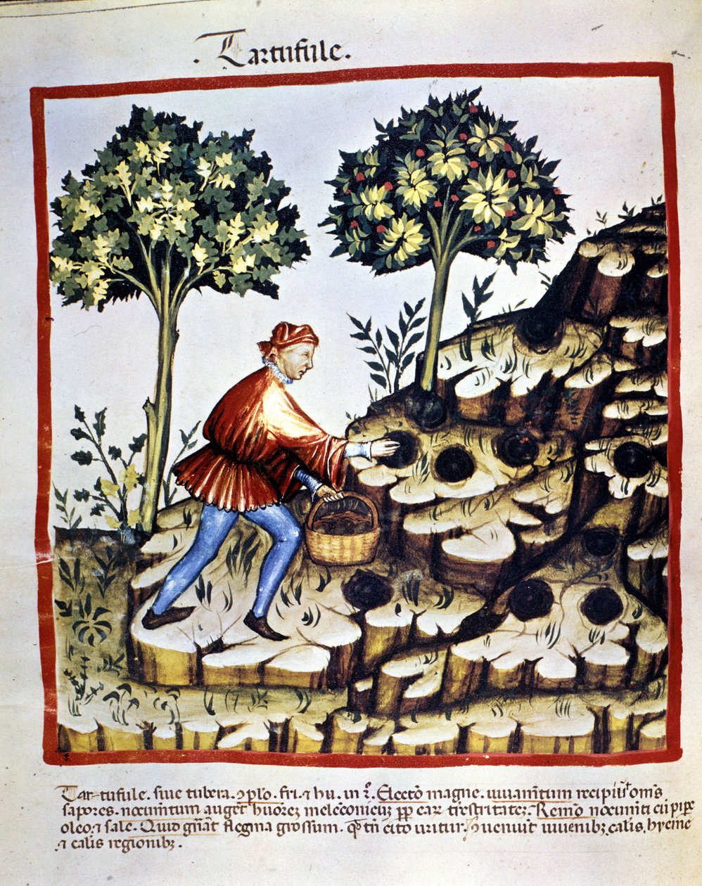 Nieznany obraz autorstwa Unknown artist