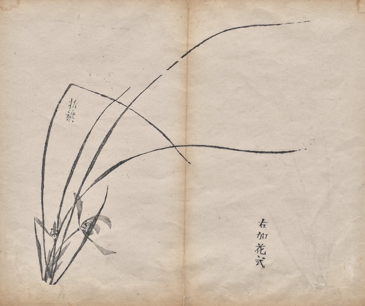 Nieuprawny autorstwa Unknown artist