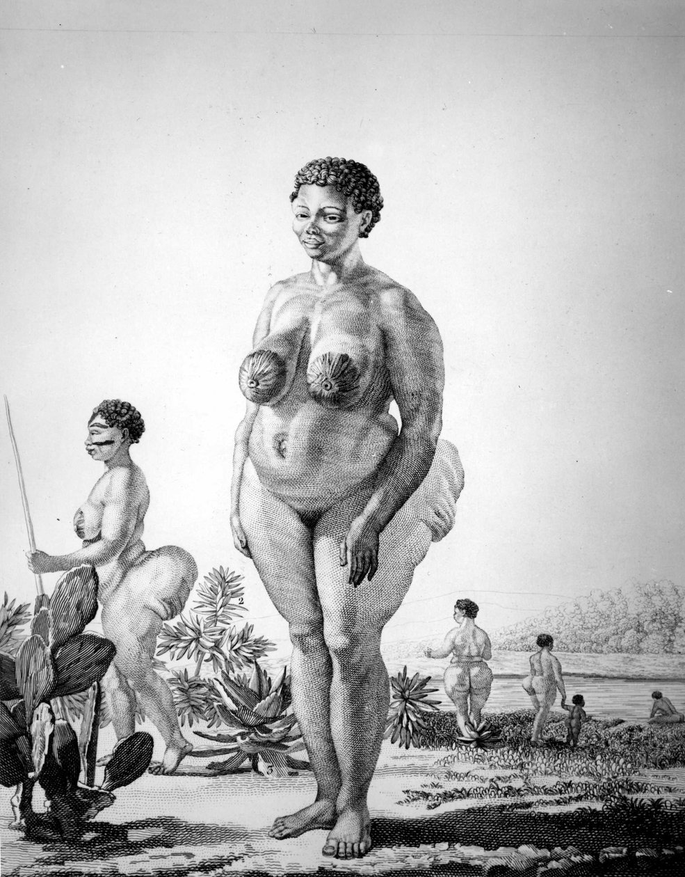 Hottentota Wenus z RPA autorstwa Unknown artist