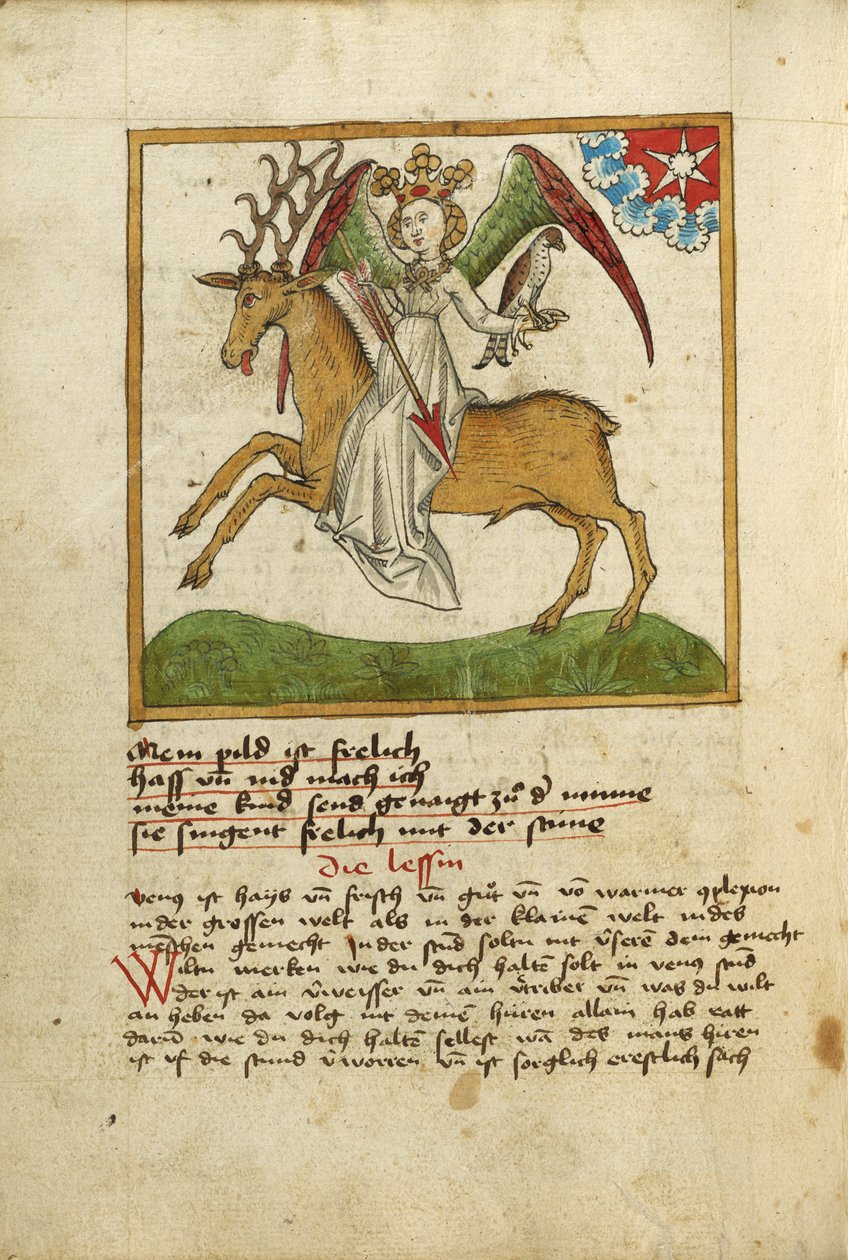 Wenus ujeżdżająca jelenia autorstwa Unknown artist
