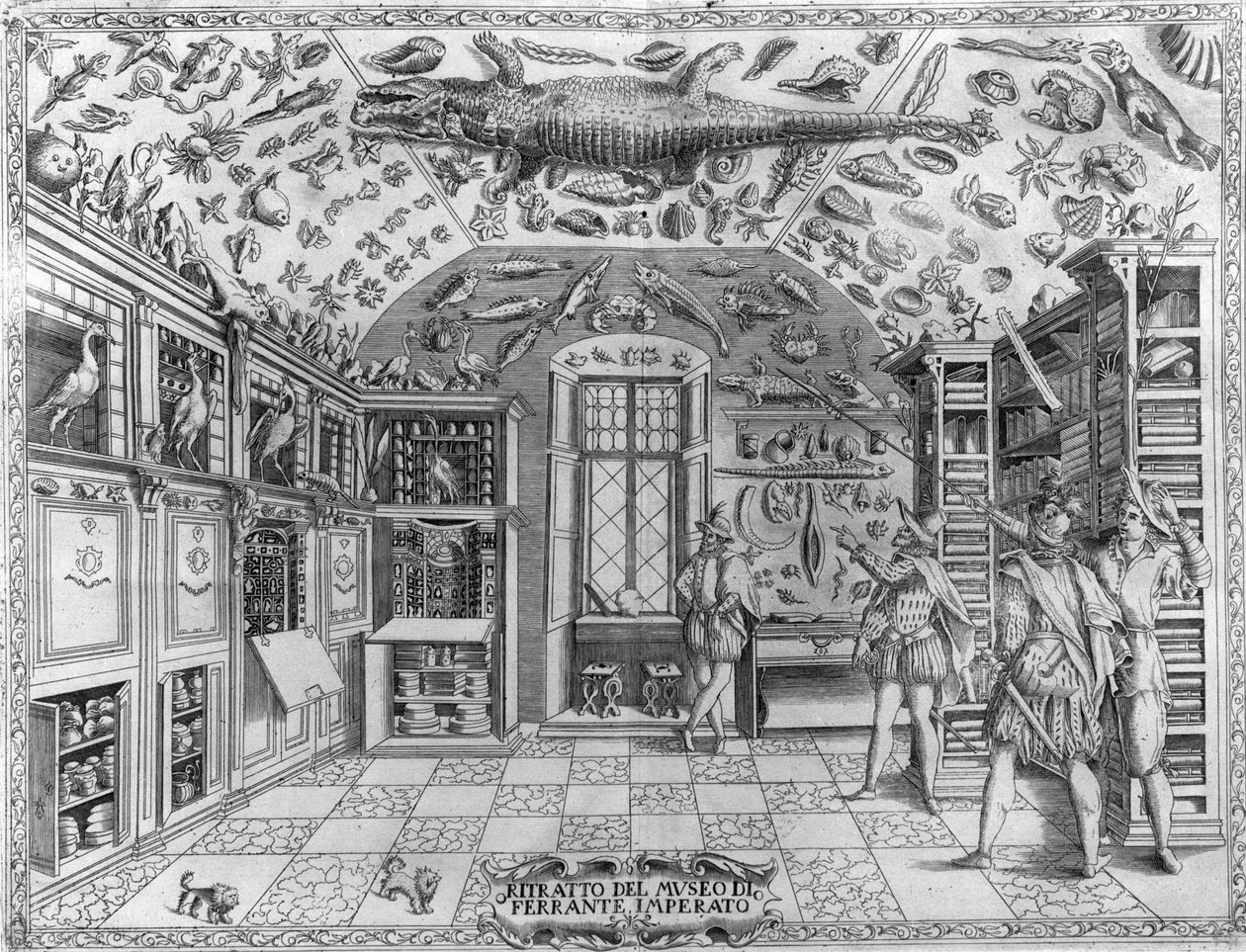 Widok na muzeum (gabinet) osobliwości (muzeum encyklopedyczne) aptekarza Ferrante Imperato (1550 - 1631). Rycina z 1678 r. Muzeum aptekarza neapolitańskiego Ferrante Imperato. autorstwa Unknown artist