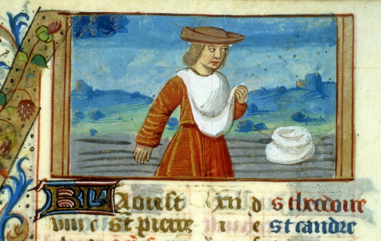 Panna Siewca i Zodiak - Miniatura Średniowiecza (ref. 137, 049v) - Prośba o zgodę Biblioteki Miejskiej w Tuluzie (tel: 05 62 27 66 66) autorstwa Unknown artist