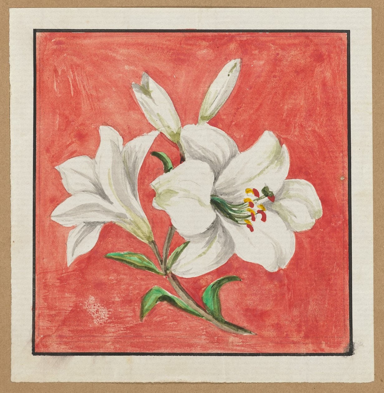[Biała Lilia] autorstwa Unknown artist