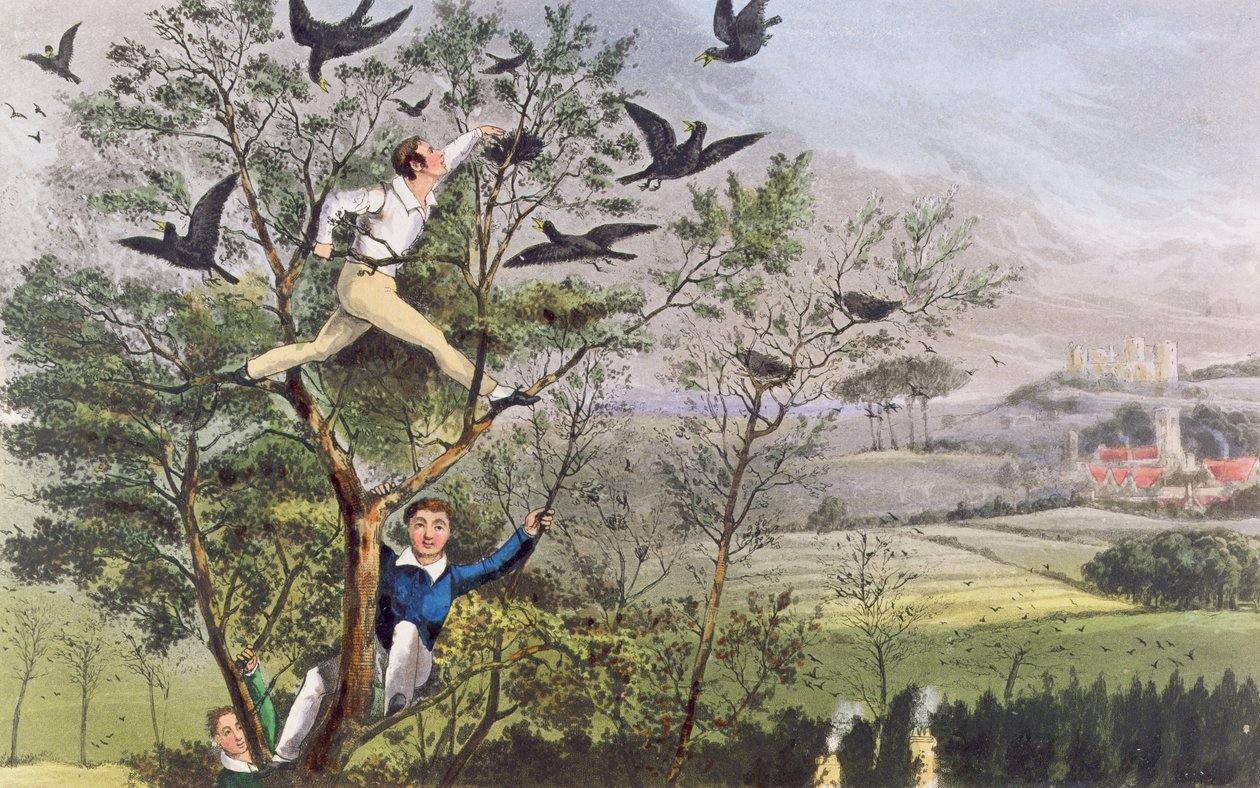 Who-Whoop! Zrobiłem to - Najazd na gawędziarnię z "Życia sportowca" Nimroda autorstwa Unknown artist