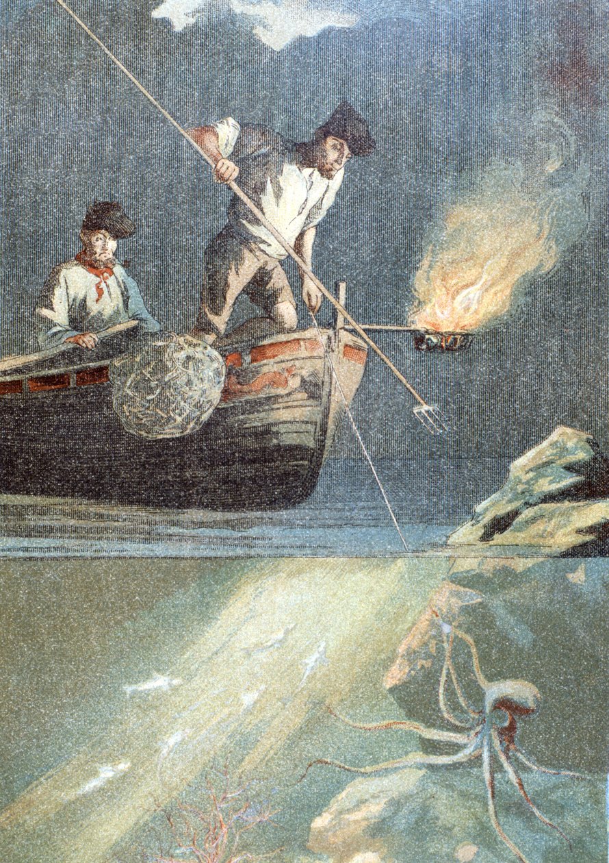 ośmiornica wędkarska autorstwa Unknown artist