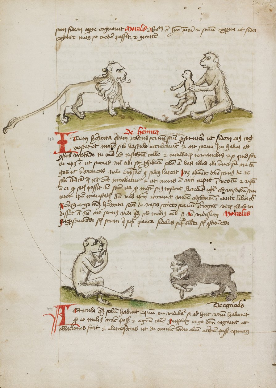 Lew z małpą i jej młodym; Małpa; Niedźwiedź jedzący młodą małpę autorstwa Unknown artist/maker