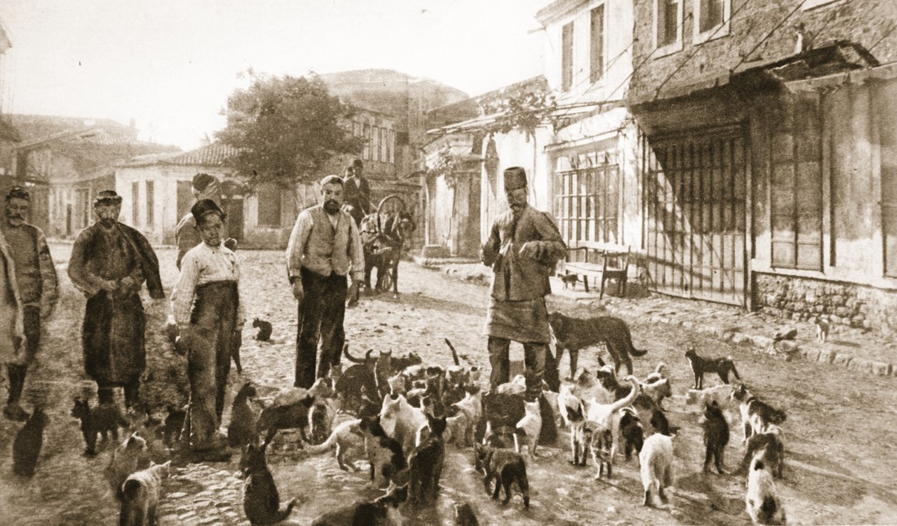 Dobroć Turka dla "nieszkodliwego, niezbędnego kota": karmienie bezdomnych cipek w Chanak po bombardowaniu, z "The Illustrated War News" (litografia) autorstwa Unknown photographer
