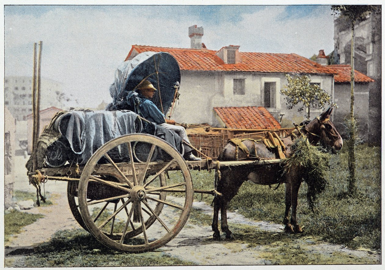Furman niosący wino. Rzym, Włochy, koniec XIX wieku. autorstwa Unknown photographer
