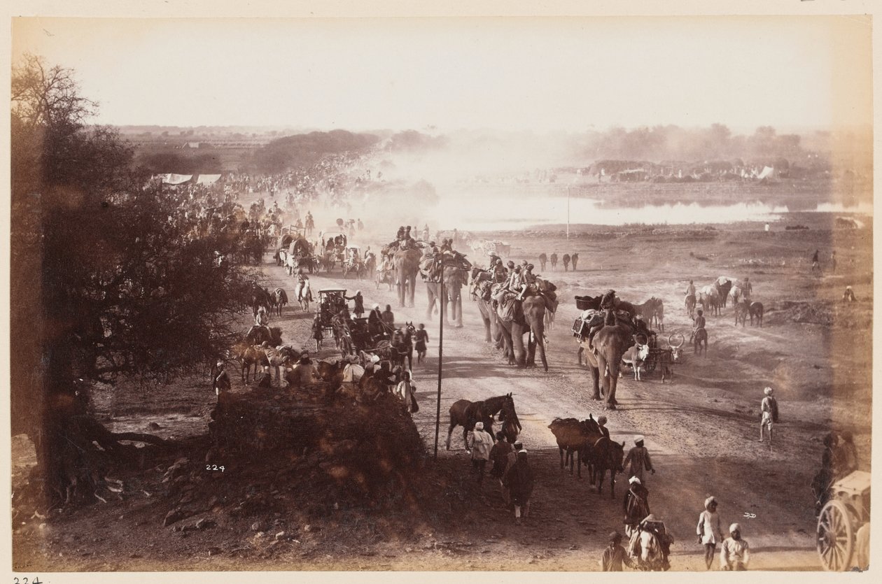 Kolumna bagażowa podczas Obozu Ćwiczeń w Delhi, 1885 ok autorstwa Unknown