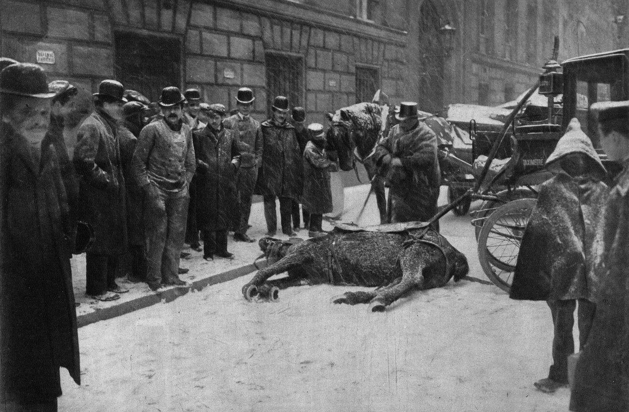 Śmierć konia sprzęgającego na ulicach Paryża. Fotografia, koniec XIX wieku, Paryż. Dz. Selva. autorstwa Unknown photographer