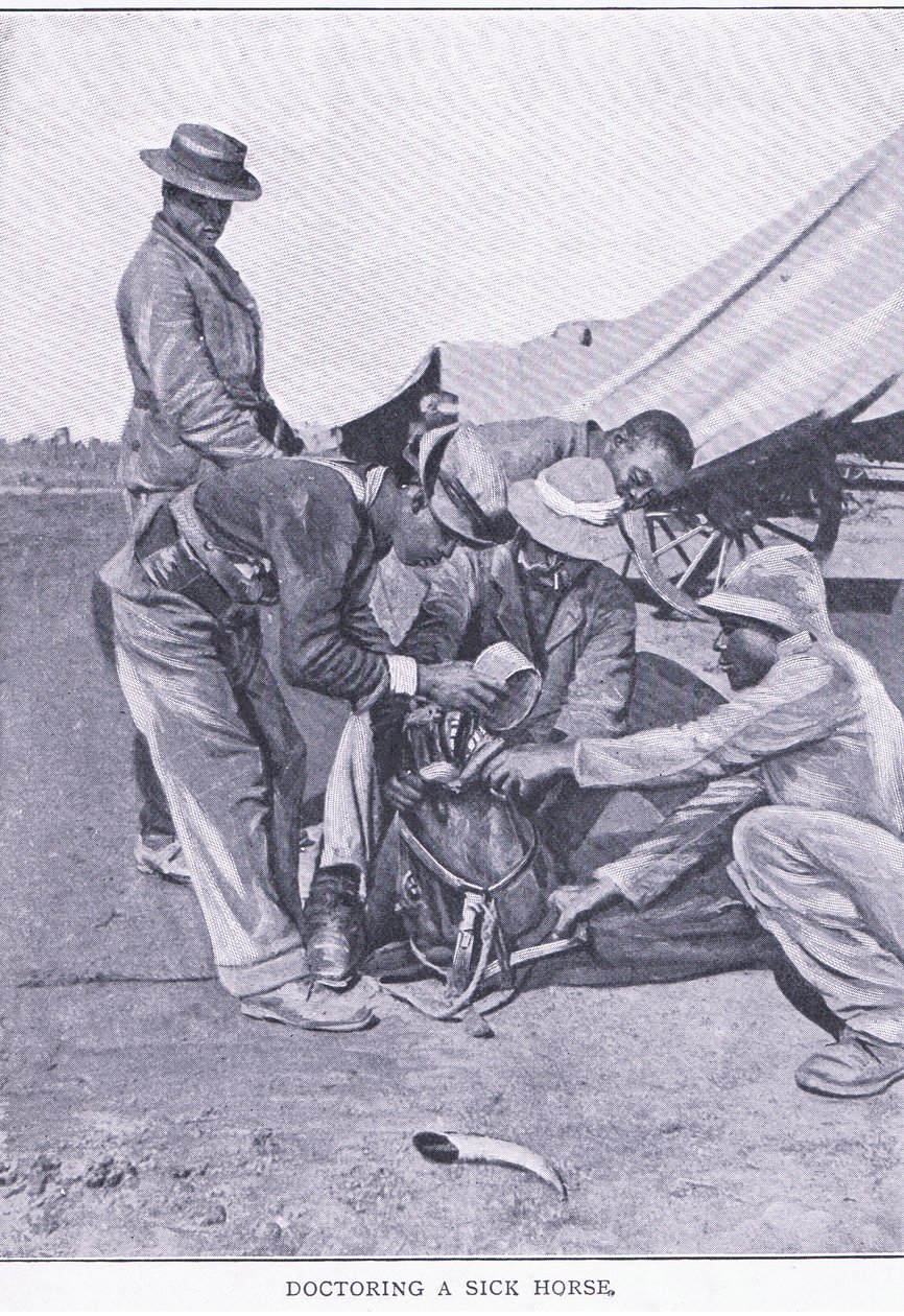 Leczenie chorego konia z książki After Pretoria: The Guerilla War wydanej przez Harmsworth Bros Limited autorstwa Unknown photographer