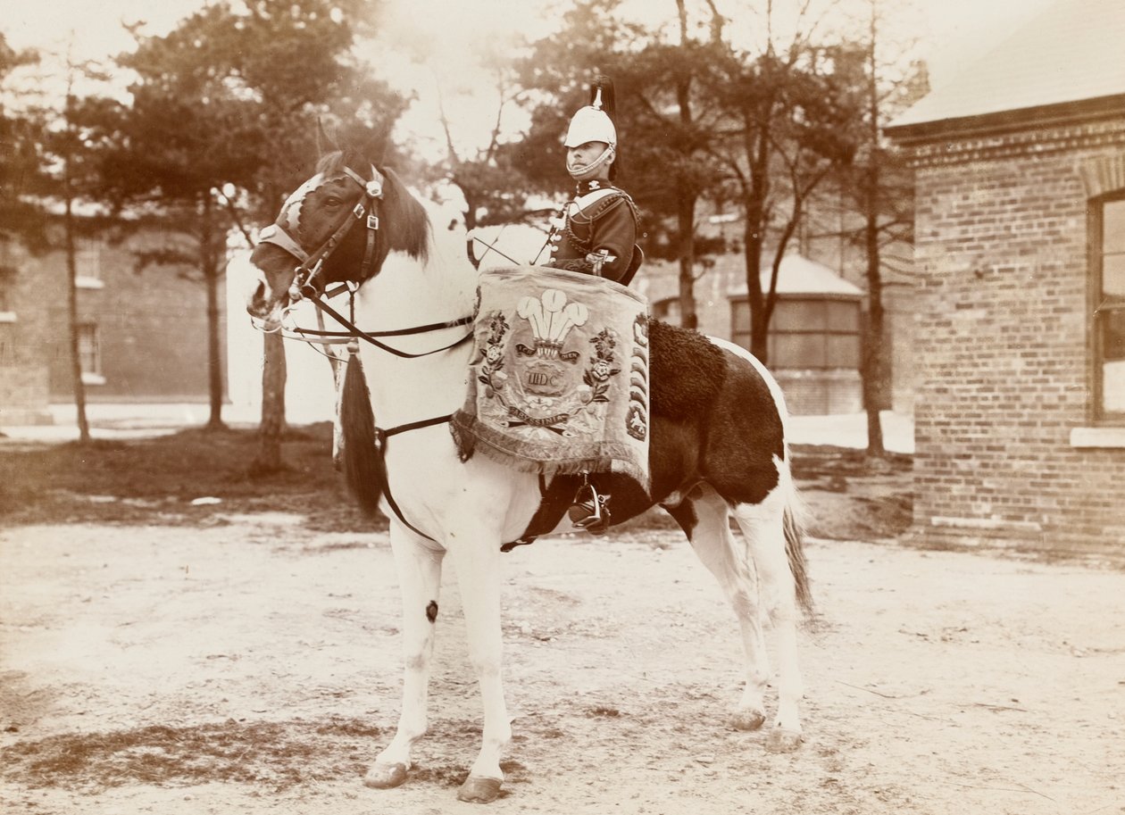 „Bębniarz, 3. Smocza Gwardia Księcia Walii”, 1895 ok. autorstwa Unknown photographer