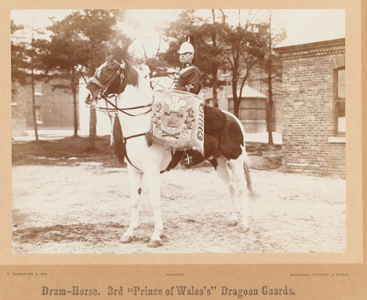 „Bębniarz, 3. Smocza Gwardia Księcia Walii”, 1895 ok. autorstwa Unknown photographer