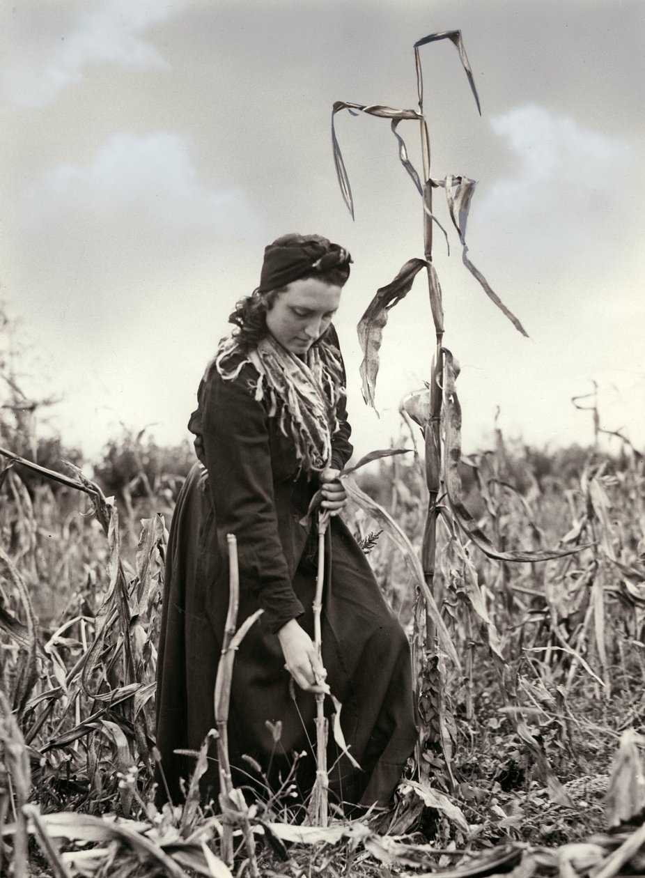 Friulian wytłaczany autorstwa Unknown photographer