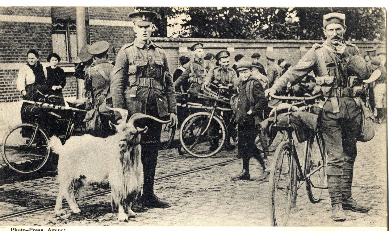 Gat: maskotka żołnierzy podczas pierwszej wojny światowej (1914-1918). autorstwa Unknown photographer