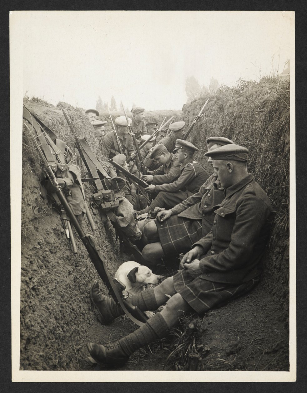 Highland Territorials w okopie [La Gorgue, Francja]. 5 sierpnia 1915 r. autorstwa Unknown photographer
